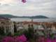 turkey008_small.jpg
