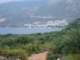 turkey014_small.jpg
