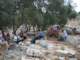 turkey016_small.jpg