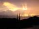 turkey018_small.jpg