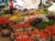 turkey032_small.jpg