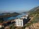 turkey035_small.jpg