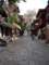 turkey060_small.jpg